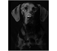 YSCOLOR 5D Diamond Painting Kits for Adults Black Labrador Dog Full Drill Rhinestone Diamond Art Painting Animals 30x40cm/11.8x15.8inch