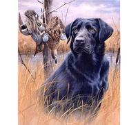YSCOLOR 5D Diamond Painting Kits for Adults Black Labrador On The Grass and Two Ducks Full Drill Round Diamond Art 30x40cm/11.8x15.8inch