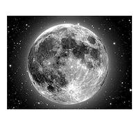 YSCOLOR 5D Diamond Painting Kits for Adults Black White Moon DIY Full Drill Diamond Art Crafts Canvas Room Wall Decoration Gift 30x40cm/11.8x15.8inch