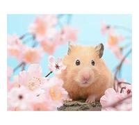 YSCOLOR 5D Diamond Painting Kits Hamster Pink Flower DIY Full Drill Rhinestone Embroidery Pictures Diamond Art Kits for Adults Gift 30x40cm/11.8x15.8inch NO.1852