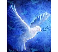 YSCOLOR 5D DIY Diamond Painting Kits for Adults White Dove Peace Dove Rhinestone Diamond Embroidery Paintings 30x40cm/11.8x15.8inch