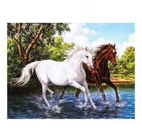 YSCOLOR 5D for Adults Animal Horse DIY Full Drill Diamond Paintings with Diamonds Art Crafts Canvas Room Wall Decoration Gift 30x40cm/11.8x15.8inch