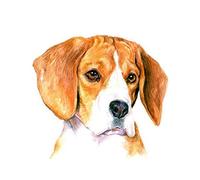 YSCOLOR Diamond Embroidery Beagle Diamond Painting Dog 5D Cross Stitch Full Drill Round Rhinestone Mosaic Christmas Decoration 11.8X11.8in/30X30cm