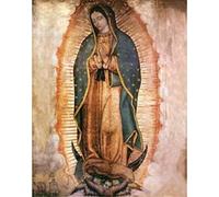 YSCOLOR Diamond Painting Kits for Adults Diamond Art 5D The Day of The Virgin of Guadalupe in Mexico Art Portrait DIY Painting Kit 30x40cm/11.8x15.8inch
