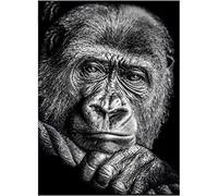 YSCOLOR DIY 5D Diamond Art Kits for Adults Full Drill Monkey Diamond Painting Diamond Embroidery 30x40cm/11.8x15.8inch