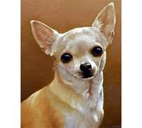 YSCOLOR DIY 5D Diamond Painting Kits Cute Chihuahua Dog Round Full Drill Embroidery Arts Craft Canvas Supply 30x40cm/11.8x15.8inch