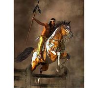 YSCOLOR DIY 5D Diamond Painting Kits for Adults American Native Indians with Horse Round Full Drill Diamond Art Picture 30x40cm/11.8x15.8inch