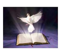 YSCOLOR DIY 5D Diamond Painting Kits for Adults Full Drill Religion The Holy Bible Dove 30x40cm/11.8x15.8inch