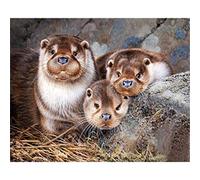 YSCOLOR DIY 5D Diamond Painting Kits Round Drill Otters Full Drill Diamond Art Kits Rhinestone Embroidery 30x40cm/11.8x15.8inch NO.999