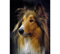 YSCOLOR DIY 5D Diamond Painting Rough Collie Dog Painting by Number Kits Embroidery Drawing Rhinestone Art Craft 30x40cm/11.8x15.8inch NO.943