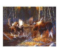 YSCOLOR DIY 5D Moose Diamond Painting Kits for Adults Round Full Drill Wildlife Diamond Art Kit Craft 30x40cm/11.8x15.8inch
