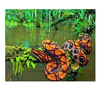 YSCOLOR DIY Diamond Art Python Snake 5D Diamond Painting Kits for Adults Full Drill Mosaic Embroidery Dimond Picture 30x40cm/11.8x15.8inch