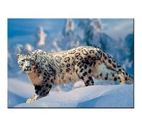 YSCOLOR DIY Diamond Art Snow Leopard 5D Diamond Painting Kits for Adults Full Drill Mosaic Embroidery Dimond Picture 30x40cm/11.8x15.8inch