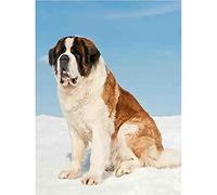 YSCOLOR DIY Diamond Painting Saint Bernard Dog Full Round Rhinestone Art Mosaic Painting Craft Kit for Home Decor 30x40cm/11.8x15.8inch