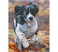 YSCOLOR DIY Paint by Numbers Animal Dog Springer Spaniel Painting by Number Kit for 16X20in/40X50cm
