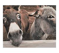 YSCOLOR Farm Donkey Animal DIY Paint by Numbers Kits Beginner Oil Painting Arts for Home Living Room Wall Decor Gift 40X50cm