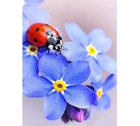 YSCOLOR Full 5D DIY Ladybug Diamond Painting Cross Stitch Embroidery Diamond Crystal Mosaics Family Decor Gifts 11.8X15.8 in/30X40cm