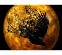 YSCOLOR Home Decal 5D DIY Diamond Painting Black Raven Bird Full Round Drill Diamond Embroidery Halloween Sets Picture Of Rhinestone 11.8X15.8 in/30X40cm