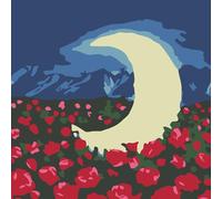 YSCOLOR Moon and Red Flowers Paint by Numbers Kits Mystical and Enchanting for Children and Beginners Including Inner Frame 20x20 cm