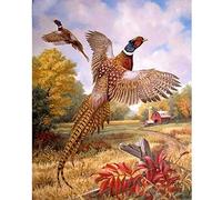 YSCOLOR Mountain Village Pheasant 5D Full Round Diamond Mosaic Round Diamond Embroidery Needlework Diamond Painting Cross Stitch Home Decor 11.8X15.8 in/30X40cm