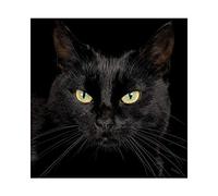 YSCOLOR Mysterious Black Cat Diamond Paintings Cross Stitch Home Wall Art Decorations Embroidery Resin Diamonds Paste DIY Handmade Gifts 11.8X11.8 in/30X30cm