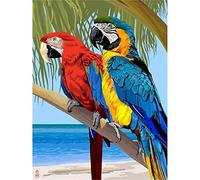 YSCOLOR Paint by Number for Adults Parrot Animal Bird DIY Canvas Oil Painting Kits Home Wall Decor Gifts 16X20in/40X50cm