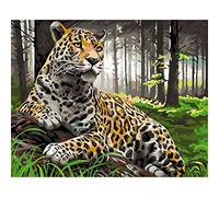 YSCOLOR Paint by Numbers for Adults Ages 8 12 Leopard Cheetah Forest Animal DIY Oil Painting Kit Digital Painting Wall Decor Gift Kits 16X20in/40X50cm