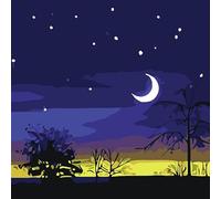 YSCOLOR Paint by Numbers Kits Starry Night Field DIY Silhouette Art Nature Serenity for Children and Beginners Including Inner Frame 20x20 cm