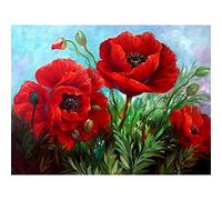 YSCOLOR Red Poppies Picture Needlework Full Diamond Round Diamond Cross Stitch Gift Home Decor DIY 5D Diamond Painting 11.8X15.8 in/30X40cm