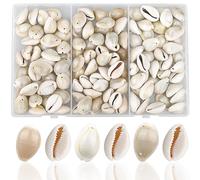 YSDMY 120 PCS Natural Spiral Cowrie with 1 Hole ，2 Hole and No Hole，18-20 MM Sea Shells for Decoration Jewellery Making