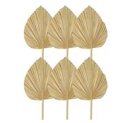 Yssevlon 6PCS Dried Palm Leaves Natural Dried Palm Fans,Large Palm Spear for Boho Wedding Decor,Tropical Palm Leaves Decoration Easy to Use S
