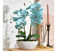 YSZL Artificial Potted Orchid, Large, Silk Flower Arrangement with Ceramic Vase, Gold-Blue