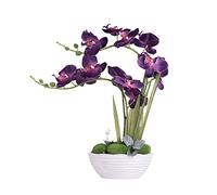 YSZL Large Artificial Potted Orchid Plant, Silk Flower Arrangement with Ceramics Vase, Dark Purple
