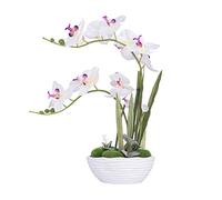 YSZL Large Artificial Potted Orchid Plant, Silk Flower Arrangement with Ceramics Vase, White