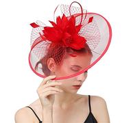 YTBHSHXZ, Bride Veils Fascinators Wedding Women Headwear Hair Clip Feather Flower Hair Accessories(Red)