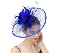YTBHSHXZ, Bride Veils Fascinators Wedding Women Headwear Hair Clip Feather Flower Hair Accessories(Royal blue)