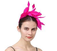 YTBHSHXZ， Fancy Feathers Wedding Bride Headwear Race Party Women Hair Accessories Cocktail Fascinator(Pink)