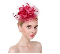YTBHSHXZ, Women's Flower Mesh Headwear Hair Hoop Fascinator Hat Feather Tea Party Hair Accessories(Wine)