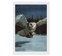 YTLKGFP Flying Owl Diamond Painting Kits for Adults 5D Full Drill Square Diamond Art Kit DIY Gem Crystal Art Painting Diamonds Dots Painting Home Wall Decor for Beginners 8"x12"
