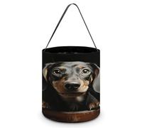 YTLKGFP Halloween Baskets Pad Dachshund Printed Candy Bucket Halloween Trick Or Treat Bag Portable Candy Bag Goodie Bags for Party Favor, Pad Dachshund, 7.9 X 8.3 inch
