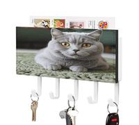 YTLKGFP Key Hooks Cat on Carpet Printed Key Organizer Self Adhesive Key Rack Easy Installation Wall Mount Hanging Key Rack for Kitchen and Entryway Decor
