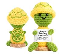 YTLSDHF Emotional Support Gift for Women, Thoughtful Turtle Christmas, Birthday, Thank You Present, Encouraging Gift for Sisters, Friends, Teachers and Colleagues, Green