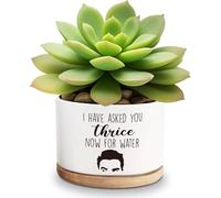 YTNONT Life Would Succ Without You White Ceramic Succulent Planter Pots, Funny Planter Pots for Plant Lover Birthday, 3.6 Inch (Plant Not Included) (I Have Asked You)