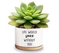 YTNONT Life Would Succ Without You White Ceramic Succulent Planter Pots, Funny Planter Pots for Plant Lover Birthday, 3.6 Inch (Plant Not Included) (Life Would Succ without You)