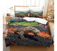 YTPONBCSTUG 3d Volcano Komodo Dragon Bed Duvet 3 Pieces Soft Microfiber Bedding Set with Zipeer Closure Of 2 Pillowcase For Girls Teens Teenagers Super King（260x220cm）