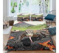 YTPONBCSTUG 3d Volcano Komodo Dragon Duvet Cover 3pcs Soft Microfiber Bedding Set with Zipeer Closure Of 2 Pillowcase for Teens And Adults Double（200x200cm）