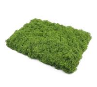 YTSMFL Fake Moss for Crafts, 1m x 1m Washable Artificial Moss for Plants Indoor and Outdoor Soft Artificial Moss for Decorating Faux Grass Mat for Plant Pots (Grass Green)