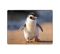 YTUOPWE Anti-slip floor mat carpet 63x48in Little penguin learning to walk Picture good water absorption suitable for kitchen, bathroom and living room