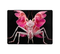 YTUOPWE Anti-slip floor mat carpet 63x48in Orchid Praying Mantis Picture good water absorption suitable for kitchen, bathroom and living room