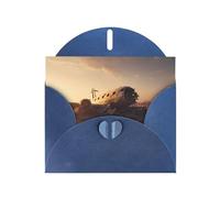 YTUOPWE Blue Holiday greeting check blank card and pearl beautiful blank note block Plane wreckage Picture